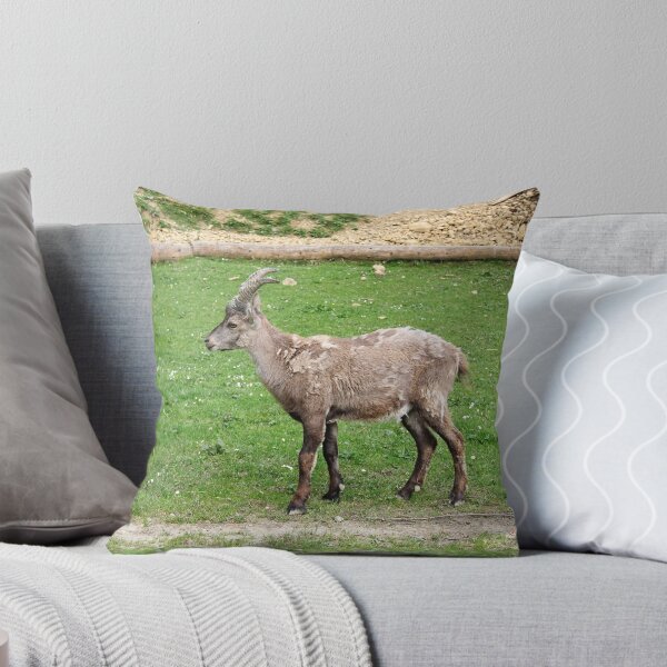 Item preview, Alpine Goat in Animal Park designed and sold by Angela Cini.