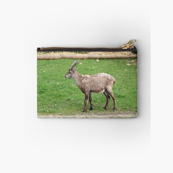 Item preview, Alpine Goat in Animal Park designed and sold by Angela Cini.