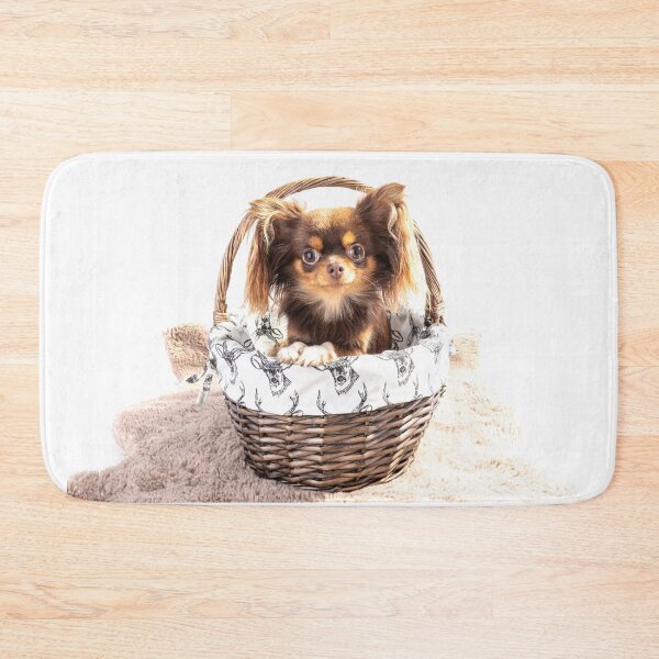 Item preview, Eva The Chihuahua designed and sold by Paul Thompson Photography.