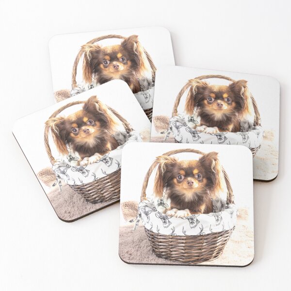 Item preview, Eva The Chihuahua designed and sold by Paul Thompson Photography.