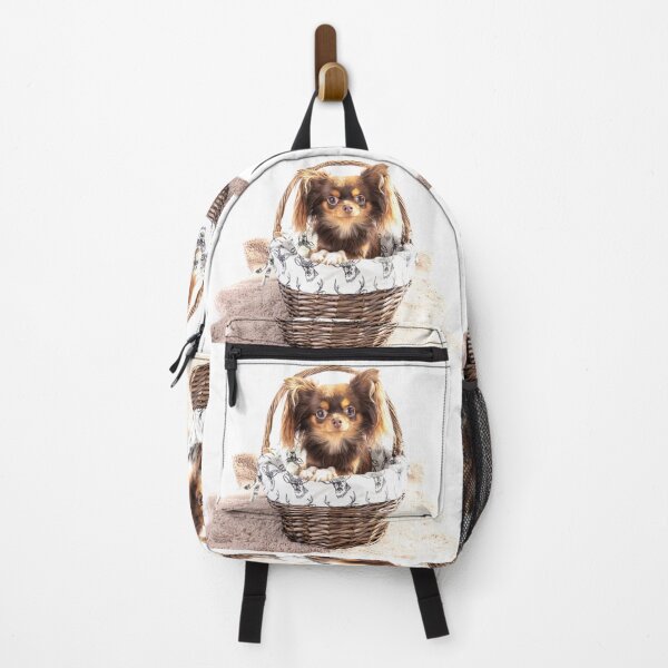 Item preview, Eva The Chihuahua designed and sold by Paul Thompson Photography.