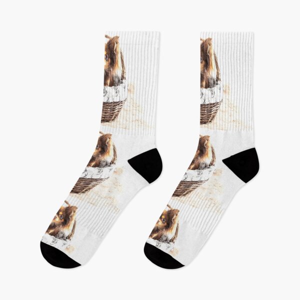 Item preview, Eva The Chihuahua designed and sold by Paul Thompson Photography.