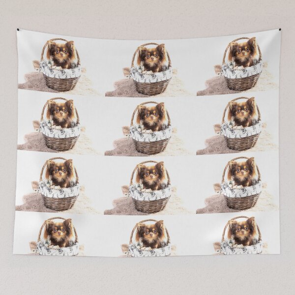 Item preview, Eva The Chihuahua designed and sold by Paul Thompson Photography.