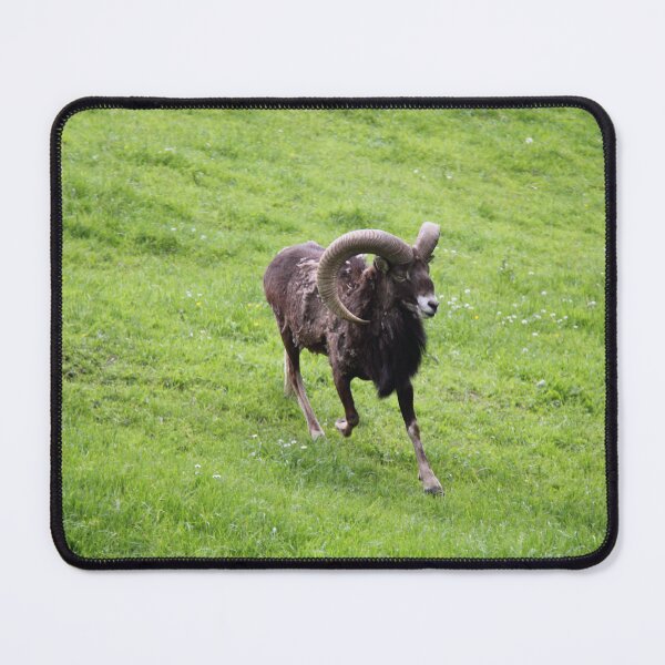 Item preview, Alpine Goat in Animal Park designed and sold by Angela Cini.