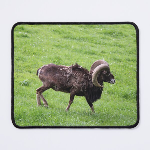 Item preview, Alpine Goat in Animal Park designed and sold by Angela Cini.