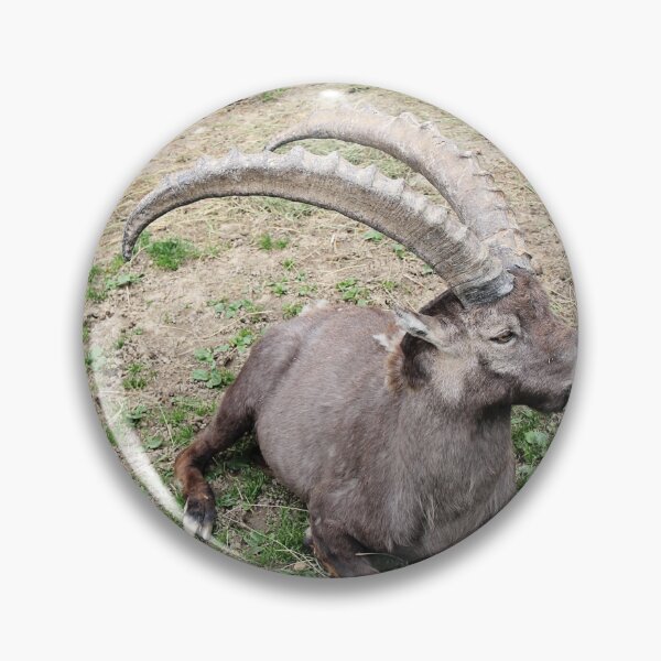 Item preview, Alpine Goat in Animal Park designed and sold by Angela Cini.