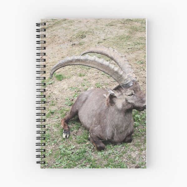 Item preview, Alpine Goat in Animal Park designed and sold by Angela Cini.