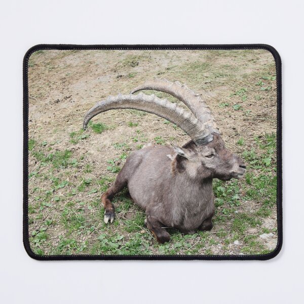 Item preview, Alpine Goat in Animal Park designed and sold by Angela Cini.