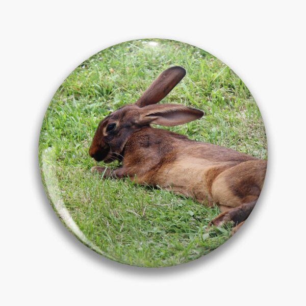 Item preview, Beautiful Alpine Wild Rabbit in grass designed and sold by Angela Cini.