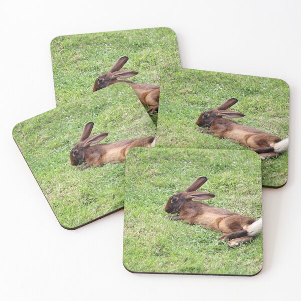Item preview, Beautiful Alpine Wild Rabbit in grass designed and sold by Angela Cini.