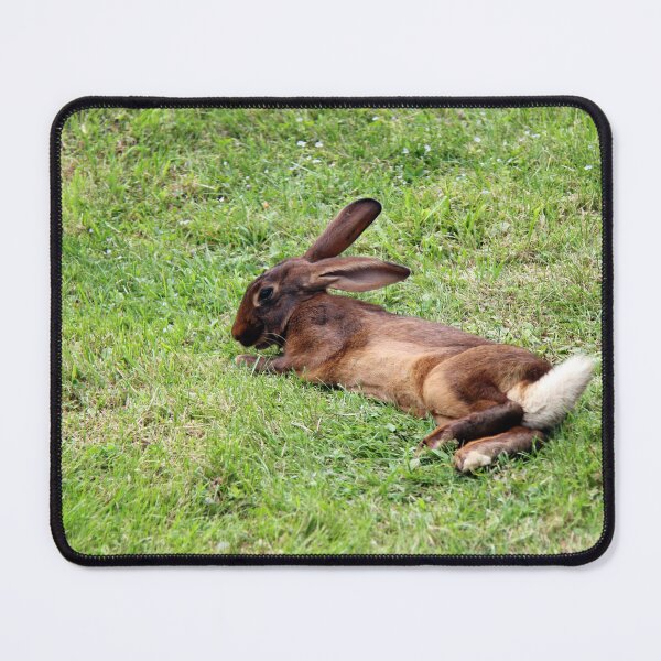 Item preview, Beautiful Alpine Wild Rabbit in grass designed and sold by Angela Cini.