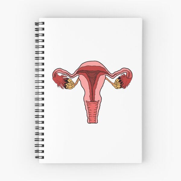 Item preview, Colorful uterus large designed and sold by Organoleptic.