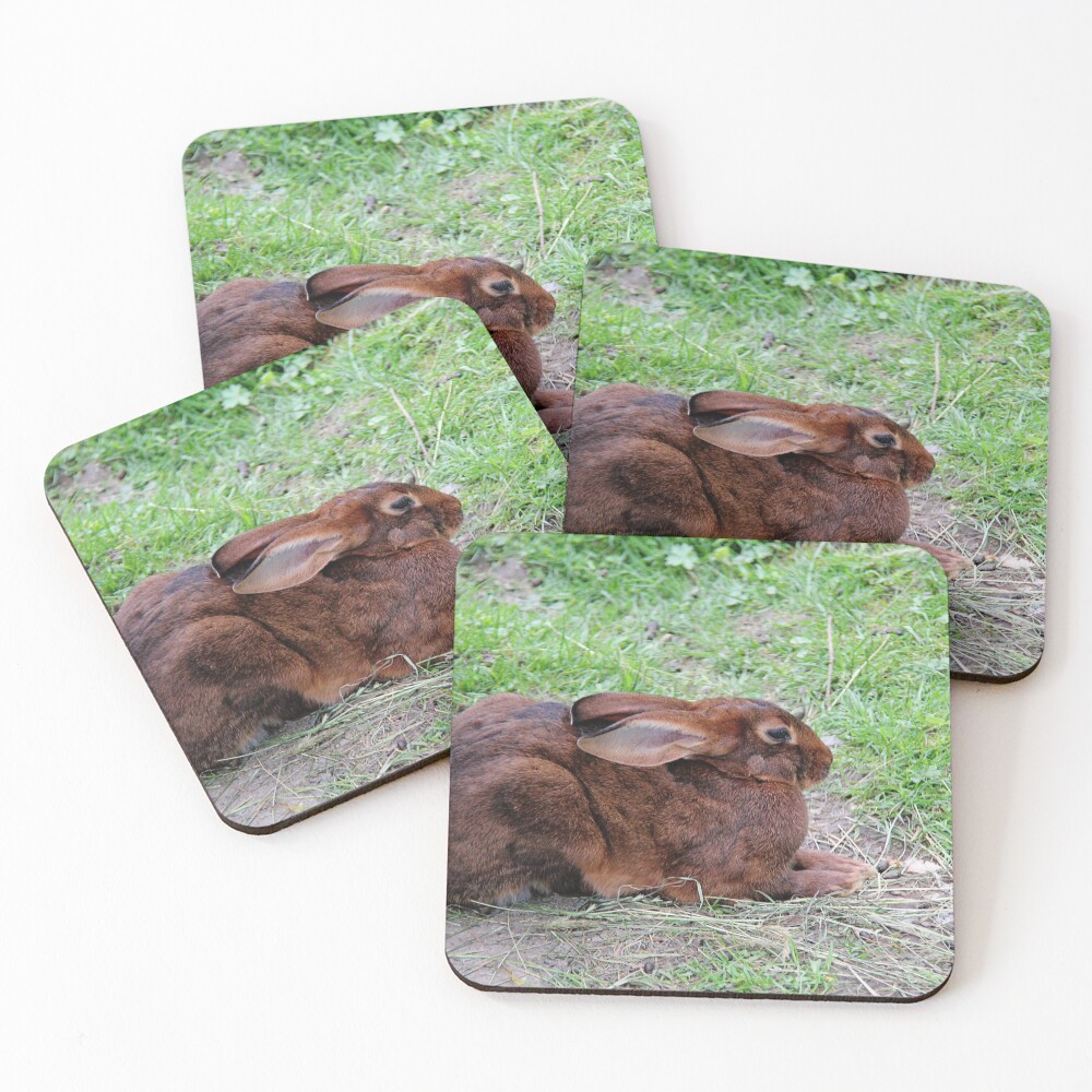 Item preview, Coasters (Set of 4) designed and sold by csiling.