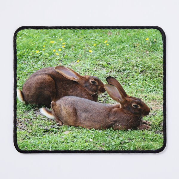 Item preview, Beautiful Alpine Wild Rabbits in grass designed and sold by Angela Cini.