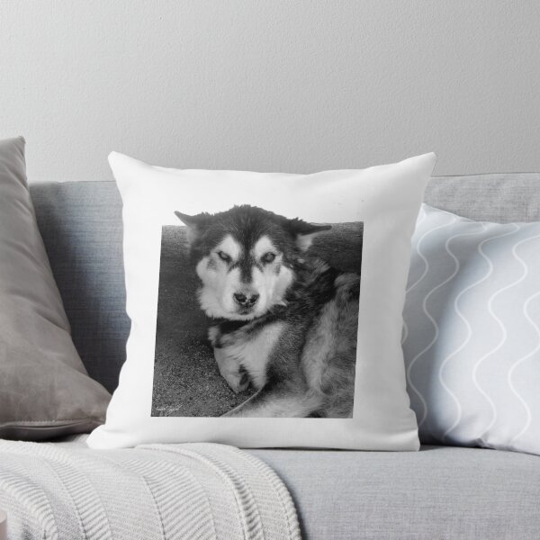 Item preview, Hazy Husky designed and sold by GhostHorsePhoto.