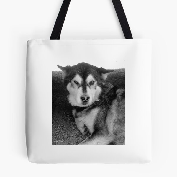 Item preview, Hazy Husky designed and sold by GhostHorsePhoto.