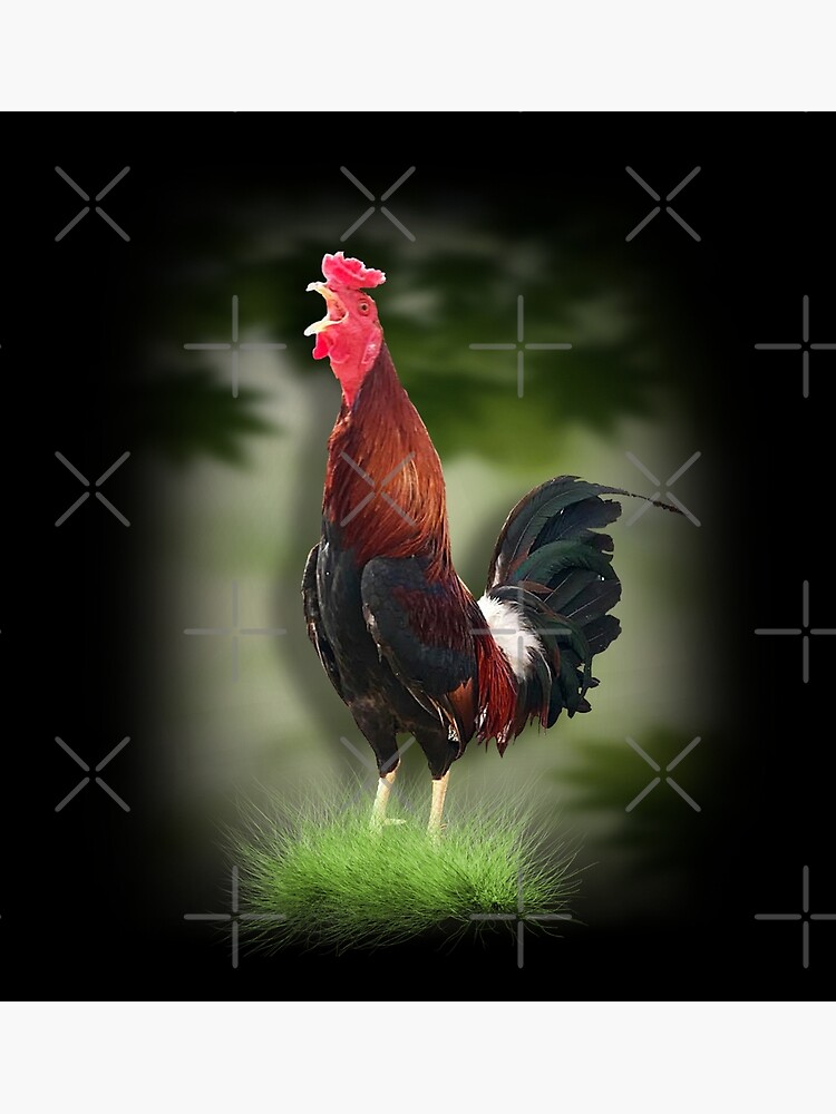  American Flag Cockfighter Game Fowl Cockfighting