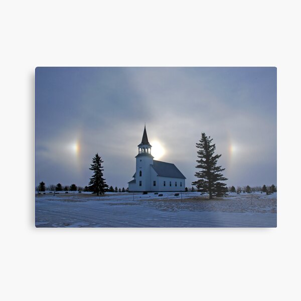 Metal Print