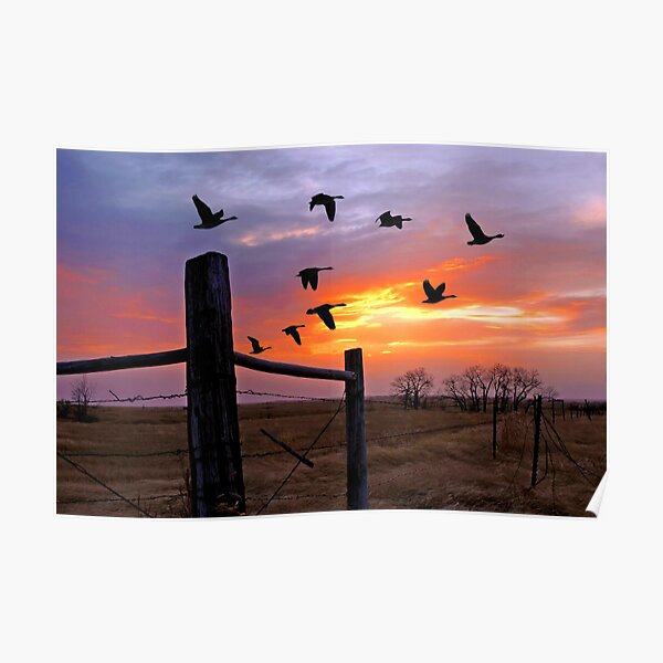 North by Northwest Flight of Geese Poster