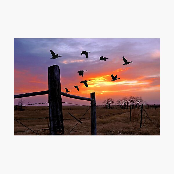 Item preview, North by Northwest Flight of Geese designed and sold by Jerry Walter.