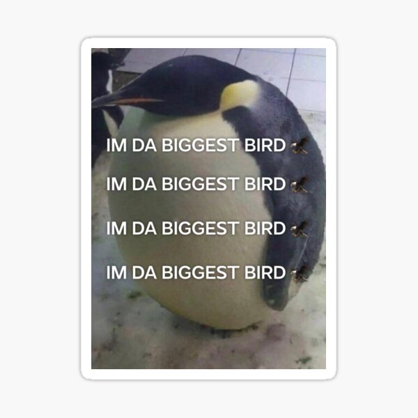 "im da biggest bird penguin meme" Sticker for Sale by gogreen1337