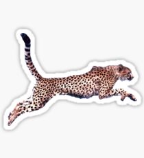 Cheetah Running Sticker