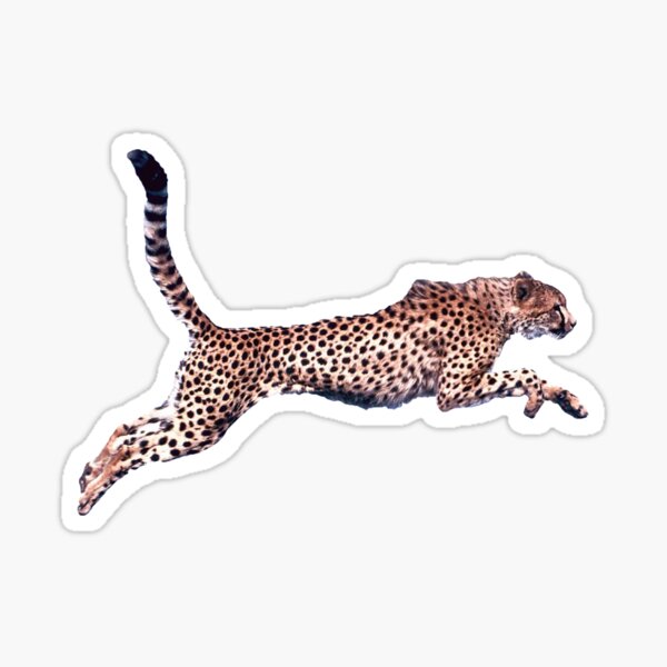 Cheetah Running Sticker