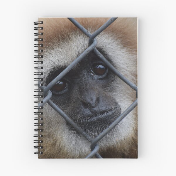 Item preview, Captive designed and sold by GhostHorsePhoto.