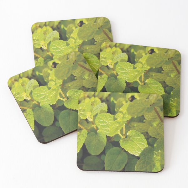 Item preview, Fresh Mint  designed and sold by Florrinda.