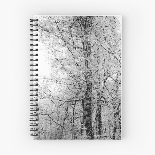 Item preview, Winter trees designed and sold by stedata.