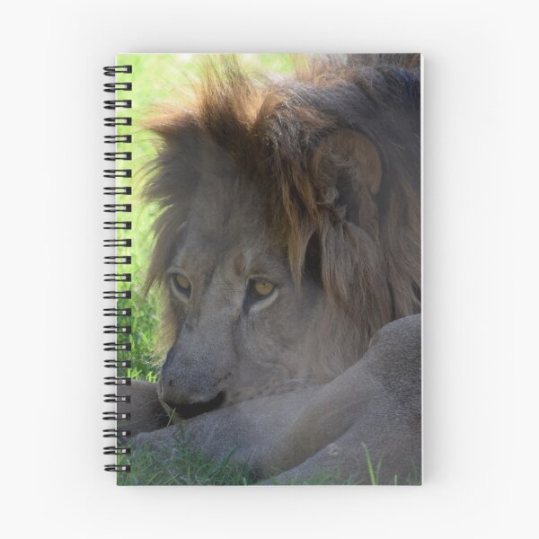 Item preview, Pride designed and sold by GhostHorsePhoto.