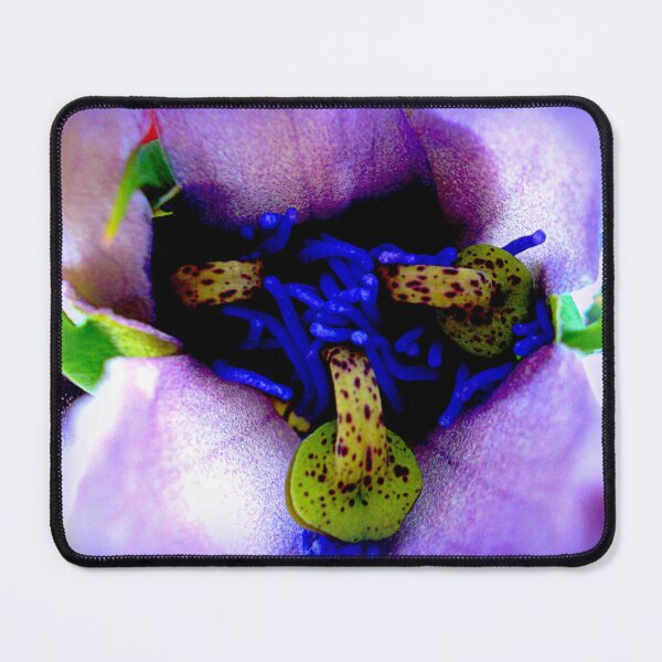 Item preview, Passiflora detail designed and sold by angel1.