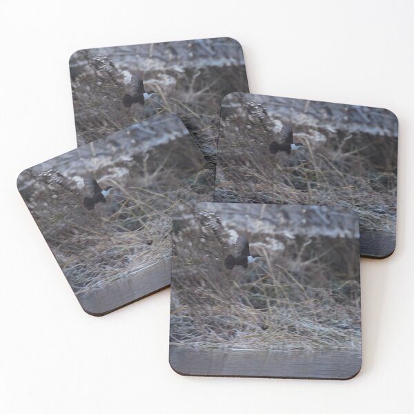 Item preview, Low light fly. White-throated dipper designed and sold by Jouko Lehto Photography.