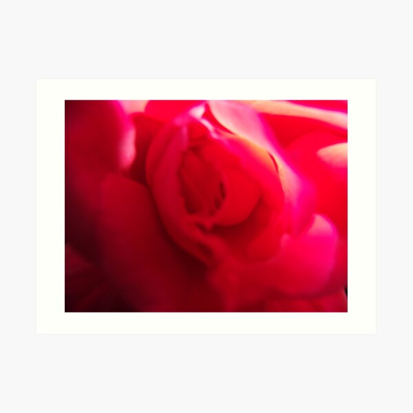 Rose Swirl Art Print