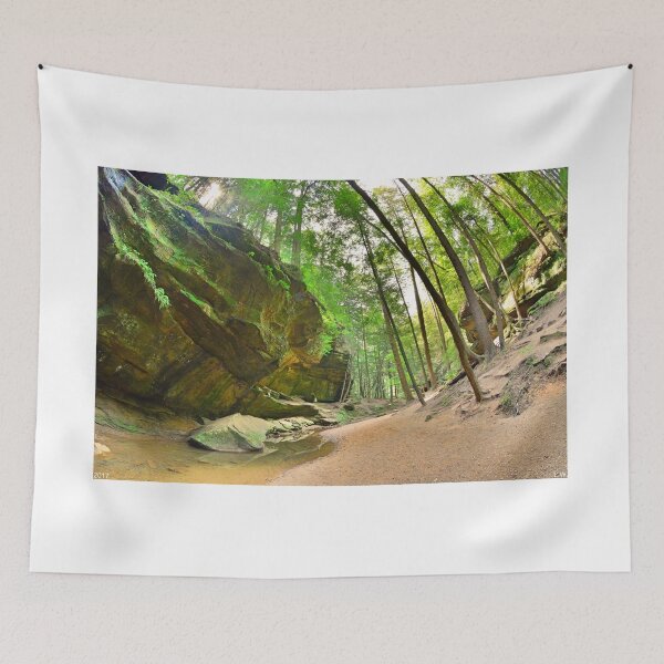 Item preview, Old Man's Gorge Trail Hocking Hills Ohio 2  designed and sold by LisaWootenPhoto.
