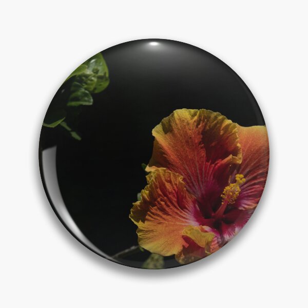 Item preview, Hibiscus designed and sold by barkeypf.