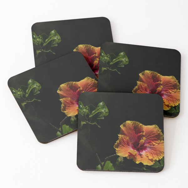 Item preview, Hibiscus designed and sold by barkeypf.