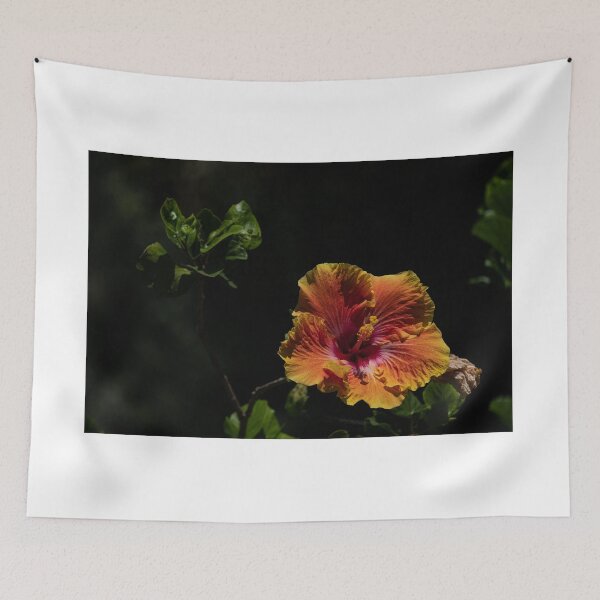 Item preview, Hibiscus designed and sold by barkeypf.