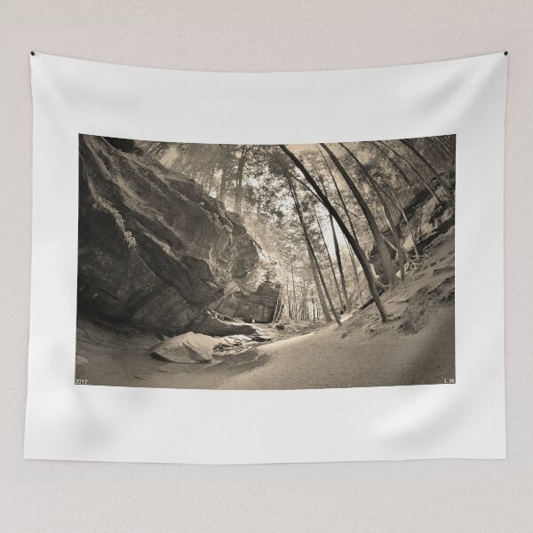 Item preview, Old Man's Gorge Trail Hocking Hills Ohio 2 Black And White designed and sold by LisaWootenPhoto.