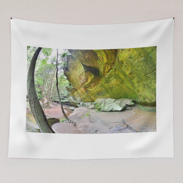 Item preview, The Gorge At Old Man's Cave Trail designed and sold by LisaWootenPhoto.