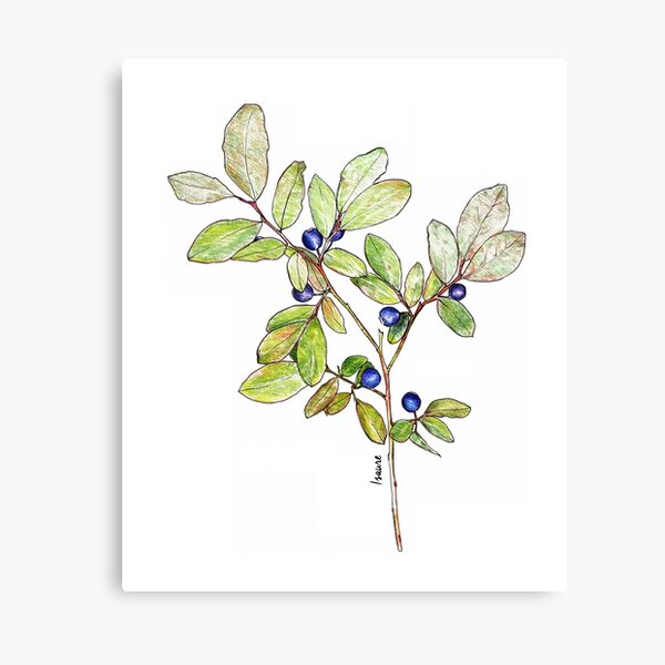 Impression sur toile