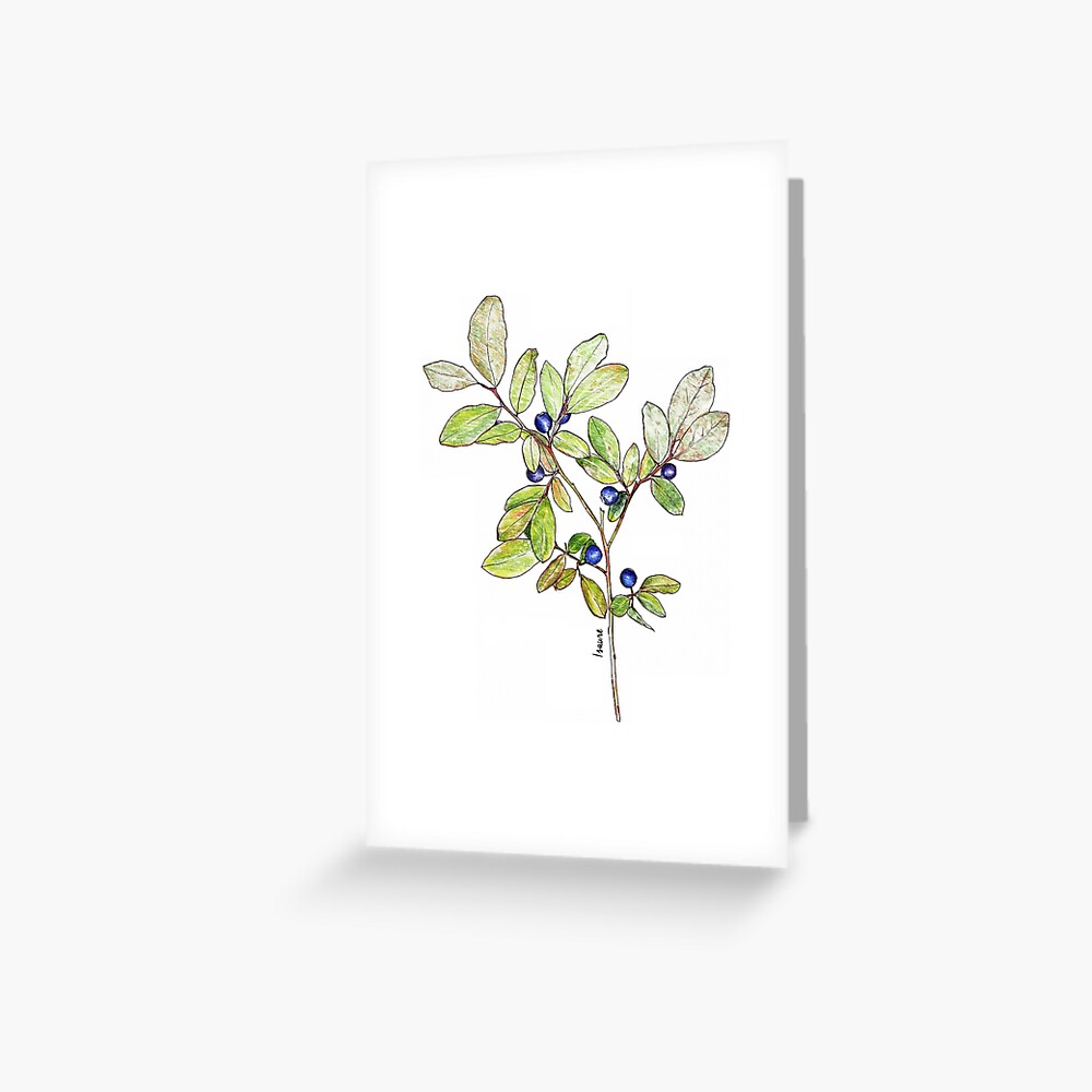 Aperçu de l'œuvre Carte de vœux créée et vendue par IsaureEcartfixe.