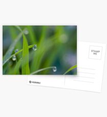 Wassertropfen Postkarten