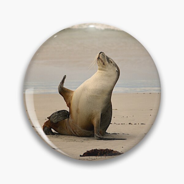 Item preview, Sea lion waving designed and sold by PET-SHIRTS.
