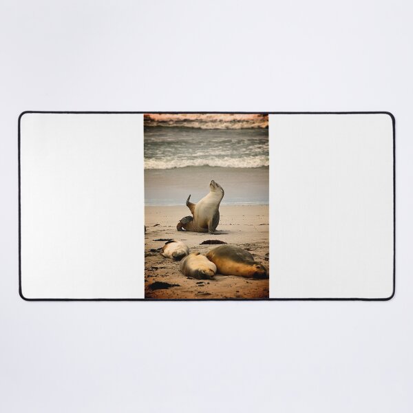 Item preview, Sea lion waving designed and sold by PET-SHIRTS.