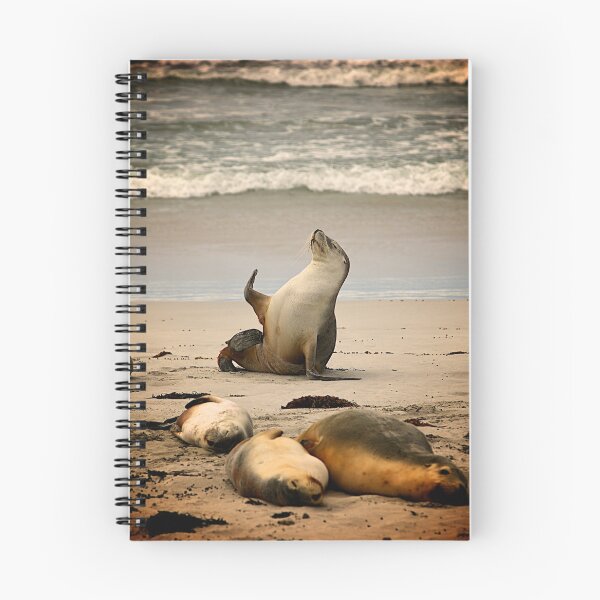 Item preview, Sea lion waving designed and sold by PET-SHIRTS.