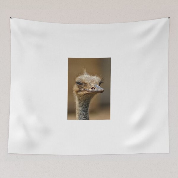 Aperçu de l'œuvre Autruche soupçonnant créée et vendue par PET-SHIRTS.