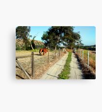Short Road Canvas Print