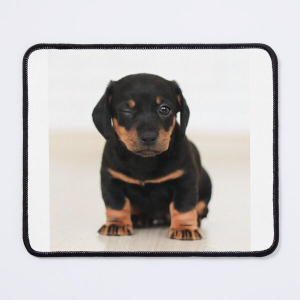 Item preview, Puppy winking designed and sold by PET-SHIRTS.