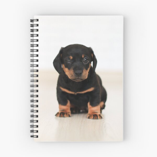 Item preview, Puppy winking designed and sold by PET-SHIRTS.